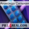 Анаконда Сильная viagra1